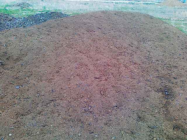 Elenmiş Sığır Gübresi